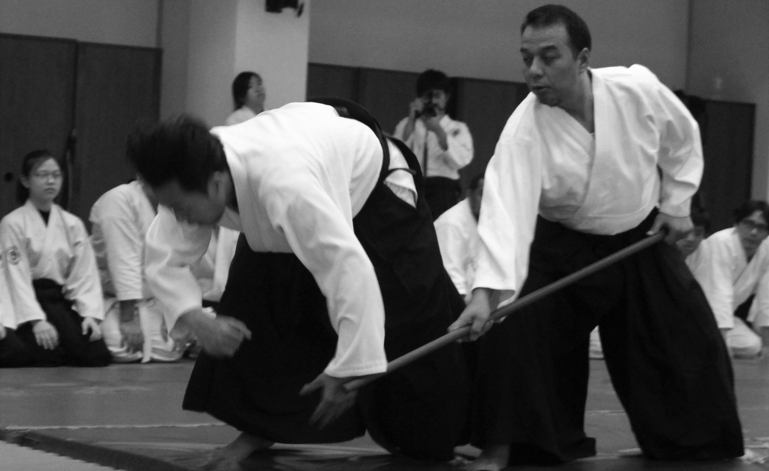 TENTANG SEISHINKAN AIKIKAI